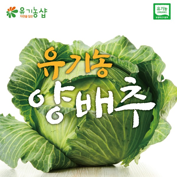 국내산 유기농 양배추 2kg (건강즙 증정)